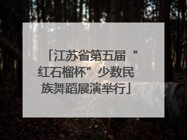 江苏省第五届“红石榴杯”少数民族舞蹈展演举行