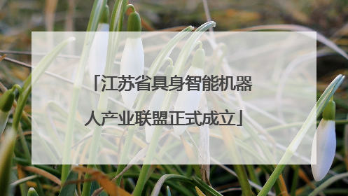 江苏省具身智能机器人产业联盟正式成立