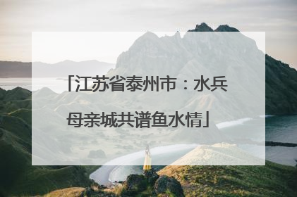 江苏省泰州市：水兵母亲城共谱鱼水情