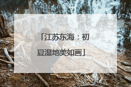 江苏东海：初夏湿地美如画