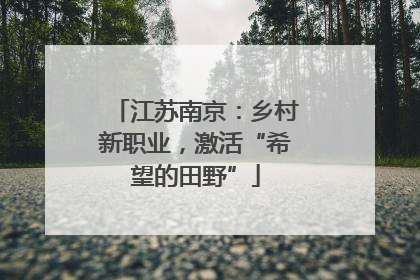 江苏南京：乡村新职业，激活“希望的田野”