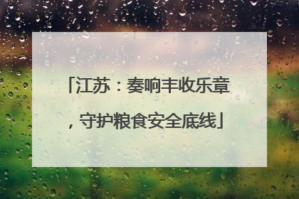 江苏：奏响丰收乐章，守护粮食安全底线