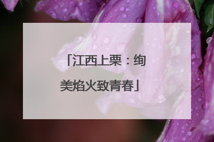 江西上栗：绚美焰火致青春