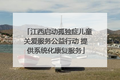 江西启动孤独症儿童关爱服务公益行动 提供系统化康复服务