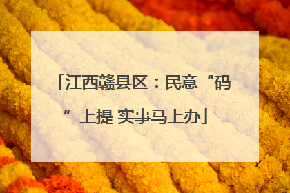 江西赣县区：民意“码”上提 实事马上办