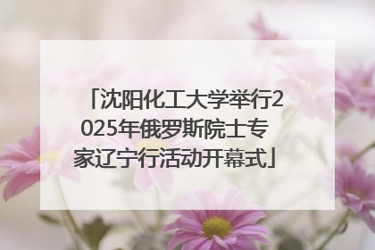沈阳化工大学举行2025年俄罗斯院士专家辽宁行活动开幕式