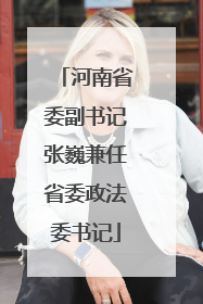 河南省委副书记张巍兼任省委政法委书记