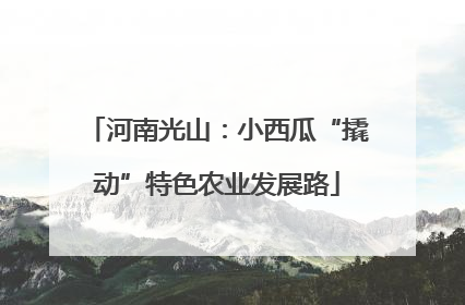 河南光山：小西瓜“撬动”特色农业发展路