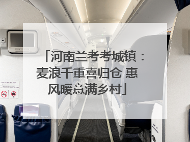 河南兰考考城镇：麦浪千重喜归仓 惠风暖意满乡村