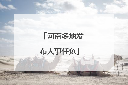 河南多地发布人事任免