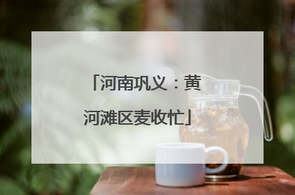 河南巩义：黄河滩区麦收忙