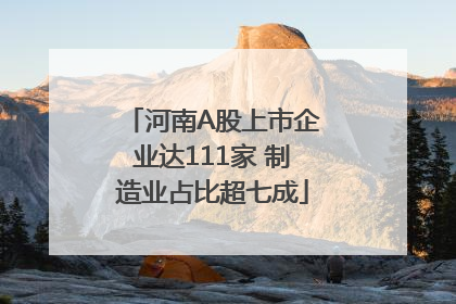 河南A股上市企业达111家 制造业占比超七成