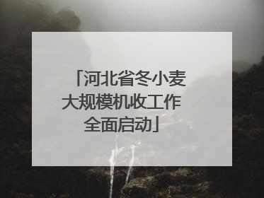 河北省冬小麦大规模机收工作全面启动