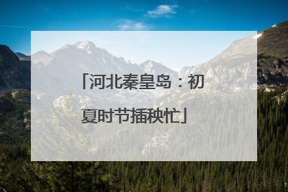 河北秦皇岛：初夏时节插秧忙