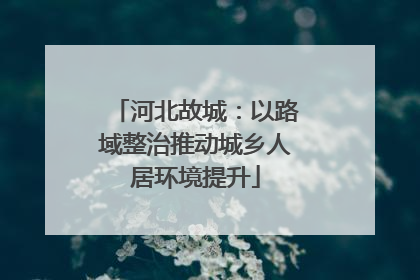 河北故城：以路域整治推动城乡人居环境提升