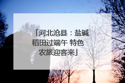 河北沧县：盐碱稻田过端午 特色农旅迎客来