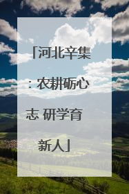 河北辛集：农耕砺心志 研学育新人