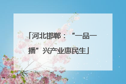 河北邯郸：“一品一播”兴产业惠民生
