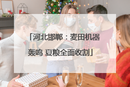 河北邯郸：麦田机器轰鸣 夏粮全面收割