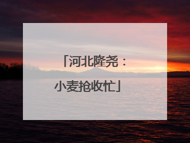 河北隆尧：小麦抢收忙