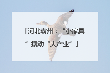 河北霸州：“小家具”撬动“大产业”
