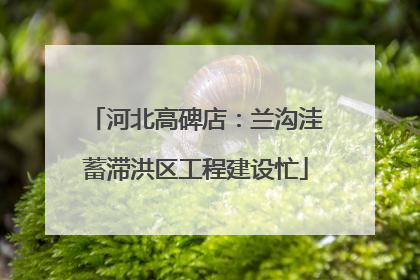 河北高碑店：兰沟洼蓄滞洪区工程建设忙