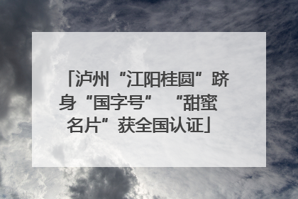 泸州“江阳桂圆”跻身“国字号” “甜蜜名片”获全国认证