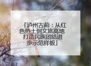 泸州古蔺：从红色热土到文旅高地 打造民族团结进步示范样板