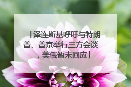 泽连斯基呼吁与特朗普、普京举行三方会谈，美俄暂未回应