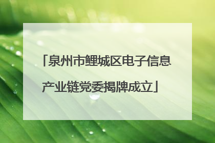 泉州市鲤城区电子信息产业链党委揭牌成立