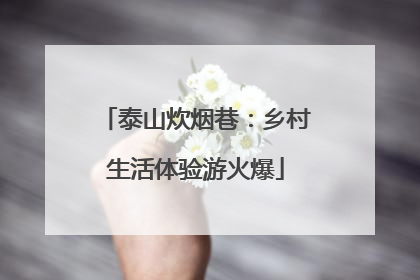 泰山炊烟巷：乡村生活体验游火爆