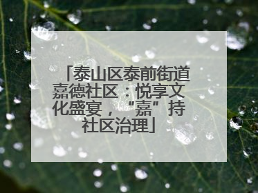 泰山区泰前街道嘉德社区：悦享文化盛宴，“嘉”持社区治理
