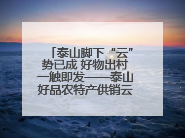 泰山脚下“云”势已成 好物出村一触即发——泰山好品农特产供销云仓即将启用