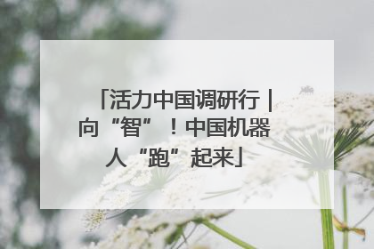活力中国调研行｜向“智”！中国机器人“跑”起来