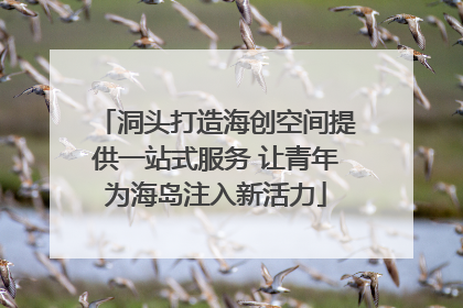 洞头打造海创空间提供一站式服务 让青年为海岛注入新活力