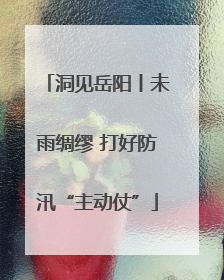 洞见岳阳丨未雨绸缪 打好防汛“主动仗”