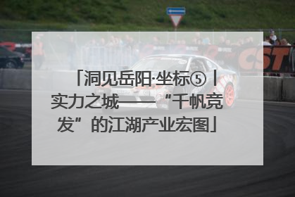 洞见岳阳·坐标⑤丨实力之城——“千帆竞发”的江湖产业宏图