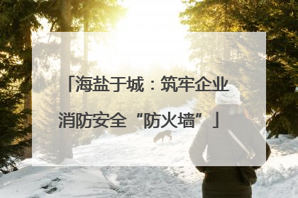 海盐于城：筑牢企业消防安全“防火墙”