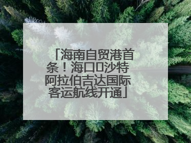 海南自贸港首条！海口⇌沙特阿拉伯吉达国际客运航线开通