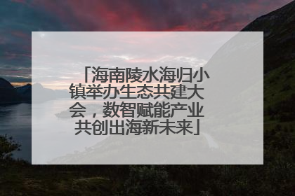 海南陵水海归小镇举办生态共建大会，数智赋能产业共创出海新未来