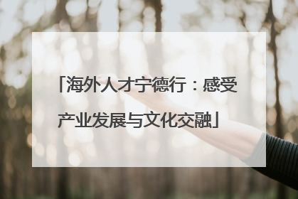 海外人才宁德行：感受产业发展与文化交融