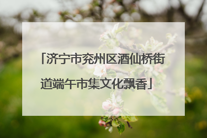 济宁市兖州区酒仙桥街道端午市集文化飘香