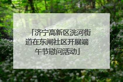 济宁高新区洸河街道在东闸社区开展端午节慰问活动