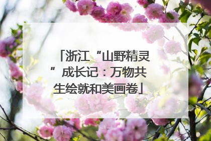 浙江“山野精灵”成长记：万物共生绘就和美画卷