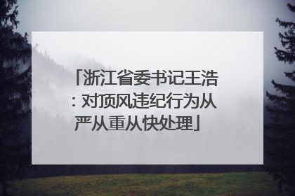 浙江省委书记王浩：对顶风违纪行为从严从重从快处理