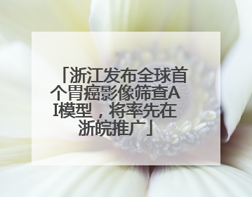 浙江发布全球首个胃癌影像筛查AI模型，将率先在浙皖推广