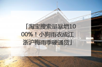 淘宝搜索量暴增1000%！小狗雨衣成江浙沪梅雨季硬通货