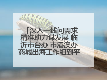 深入一线问需求 精准助力谋发展 临沂市台办 市港澳办商城出海工作组到平邑县走访调研