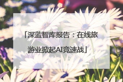深蓝智库报告：在线旅游业掀起AI竞速战