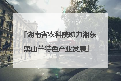 湖南省农科院助力湘东黑山羊特色产业发展